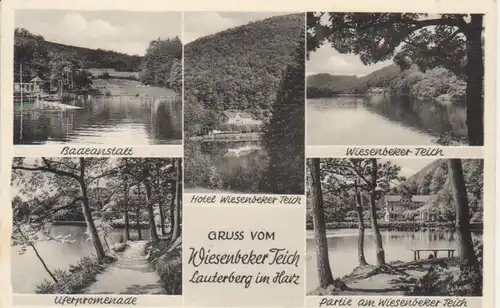 Lauterberg/Harz Wiesenbeker Teich 5 Bilder ngl 65.195