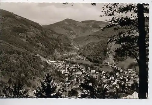 Todtnau Gesamtansicht gl1963 34.340