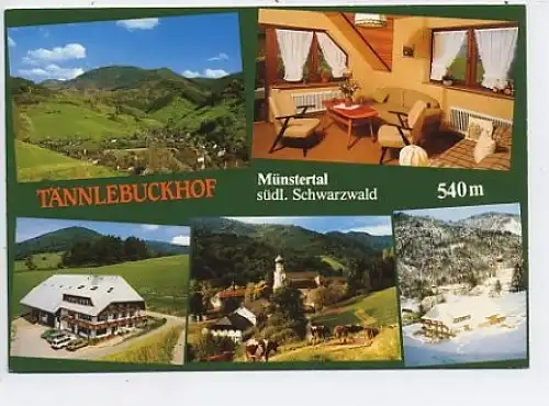 Münstertal Schwarzwald Tännlebuckhof ngl 45.966