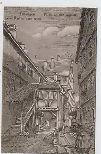 Tübingen Partie an der Ammer ngl 34.443