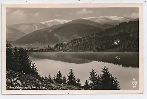 Titisee Schwarzwald glca.1940 41.878