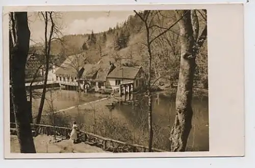 Blaubeuren Blautopf feldpgl1942 34.501