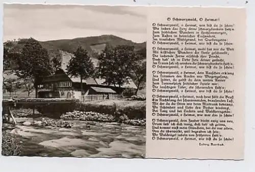 Schwarzwaldhaus mit Reim von L. Auerbach ngl 34.471