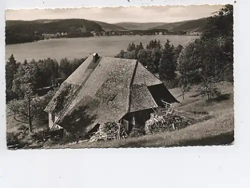 Titisee altes Schwarzwaldhaus gl1956 43.840