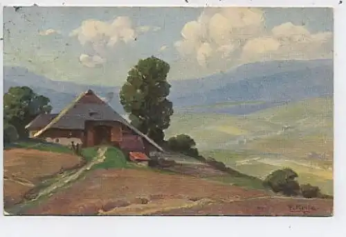 Fr. Reiss Sommer im Schwarzwald gl1914 38.305