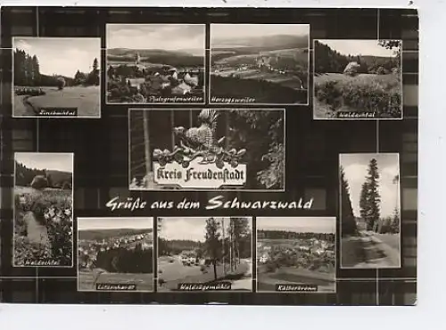 Grüße aus dem Schwarzwald Kreis Freudenstadt ngl 43.353
