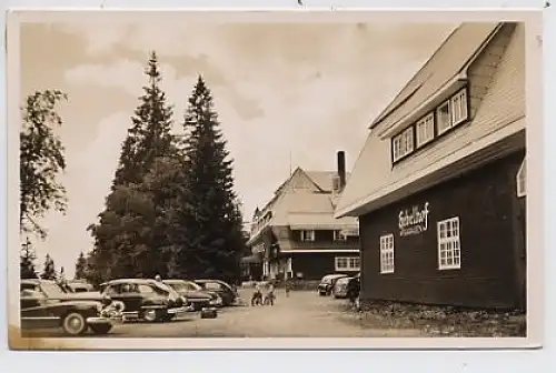 Feldberg Hotel und Kurhaus Hebelhof ngl 34.670