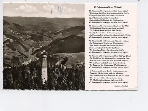 Hohe Möhr Aussichtsturm Schwarzwaldlied gl1962 43.050