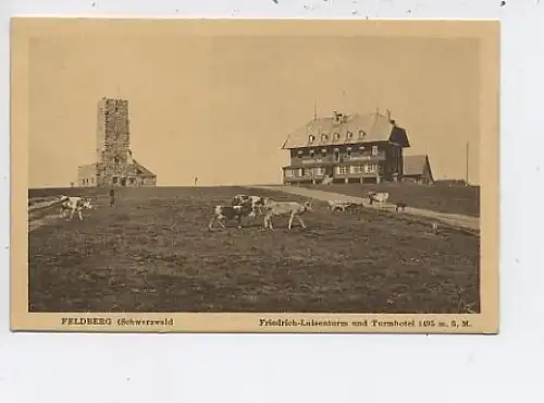 Feldberg Friedrich-Luisenturm und Turmhotel ngl 43.351