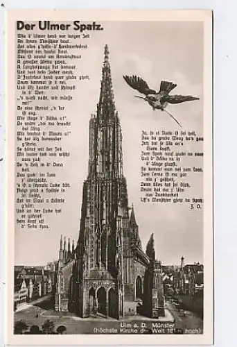 Ulm Der Ulmer Spatz Münster ngl 38.317