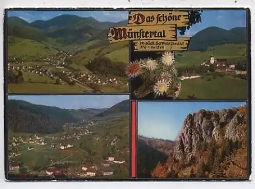 Das schöne Münstertal im Schwarzwald ngl 45.944