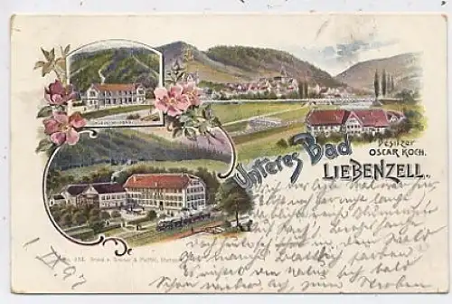 Bad Liebenzell Litho Bahnhof Stadt gl1897 42.350