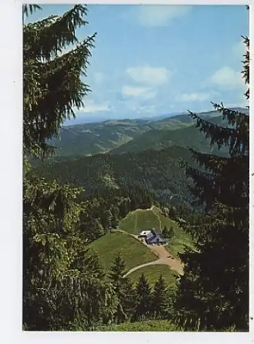 Münstertal Schwarzwald Kälbelescheuer ngl 45.949