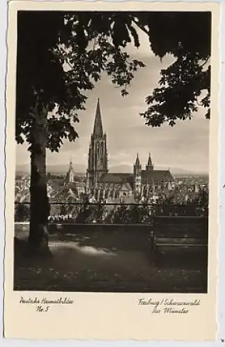 Freiburg Schwarzwald Das Münster ngl 34.866