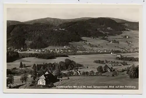 Hinterzarten Schw. Blick auf den Feldberg ngl 34.876