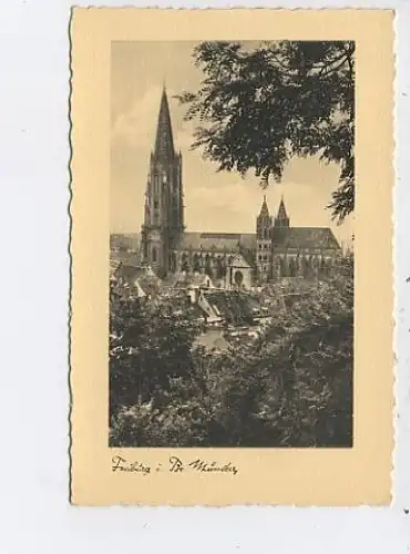 Freiburg i.Br. Münster ngl 43.170