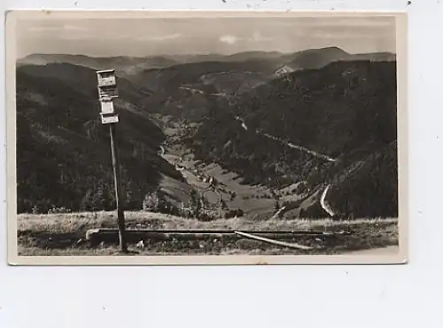 Blick vom Feldberg ins Wiesental-Fahl gl1933 43.258