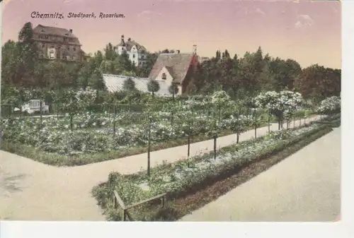 Chemnitz Stadtpark Rosarium gl1939 76.005