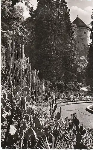 Überlingen a.B. Stadtgarten-Partie gl~1950? C0122