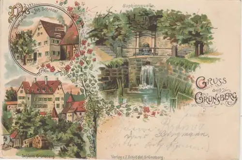 Grünsberg Litho Mehrbildkarte gl1901 74.920