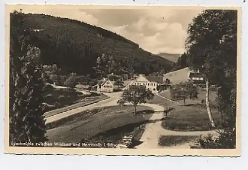Wildbad/Herrenalb Gasthaus Eyachmühle gl1936 42.415