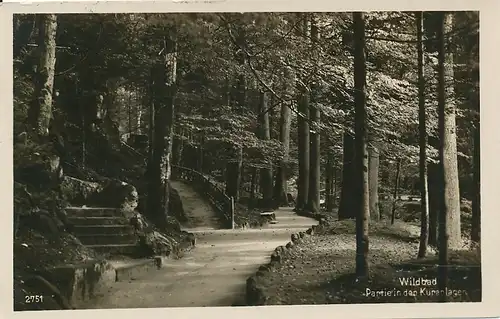 Bad Wildbad Partie in den Kuranlagen gl1929 133.568