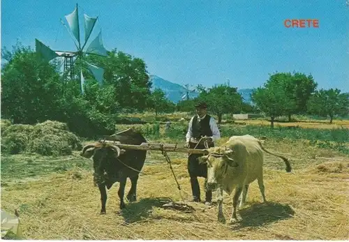 Kreta Ländliches Leben Windmühle Ochsen ngl 28.145