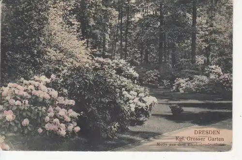 Dresden königlicher Garten gl1923 75.889