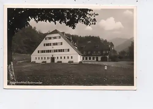 Badenweiler Vogelbachhof gl1960 42.085