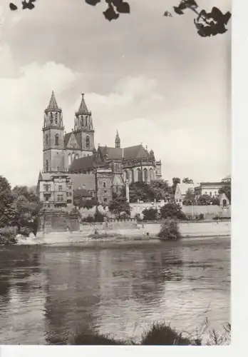 Magdeburg Dom ngl 75.503