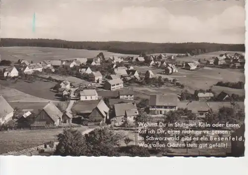 Besenfeld/Freudenstadt Panorama glca.1950 83.541