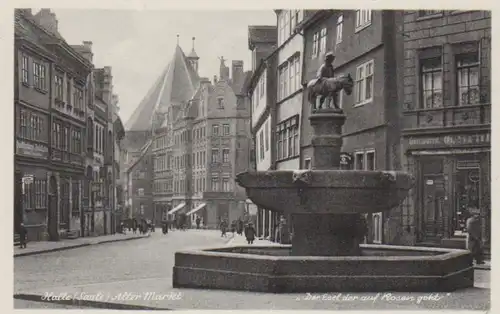 Halle a.S. alter Markt mit Esel-Brunnen ngl 91.530