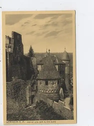 Wertheim a.M. Partie von der alten Burg ngl 42.988