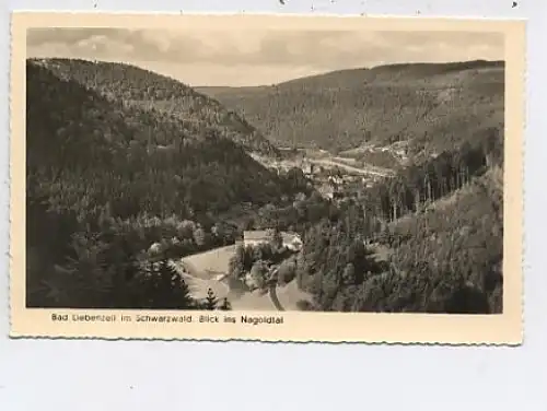 Bad Liebenzell Blick ins Nagoldtal ngl 42.863