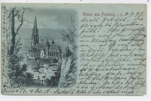 Freiburg i.B. Münster Panorama gl1898 42.332