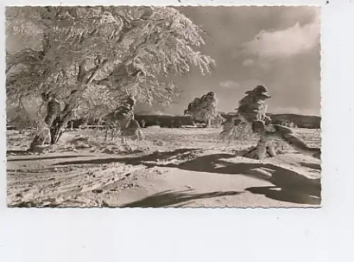 Schauinsland Blick zum Feldberg gl1966 44.989