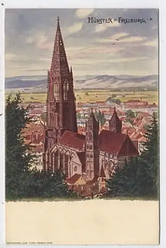 Freiburg i.B. Münster Panorama ngl 42.330