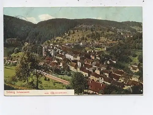 Triberg Gesamtansicht gl1907 42.833