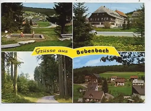 Eisenbach Bubenbach Mehrbildkarte gl1980 44.879