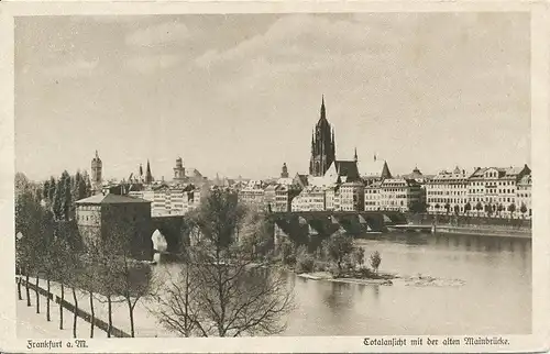 Frankfurt a.M. Totale mit alter Mainbrücke ngl 132.227