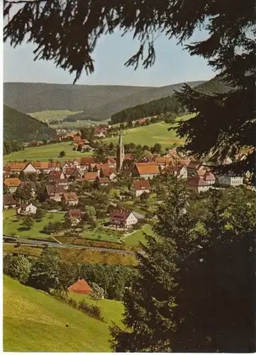 Schwarzwald Baiersbronn Ansicht ngl 26.683