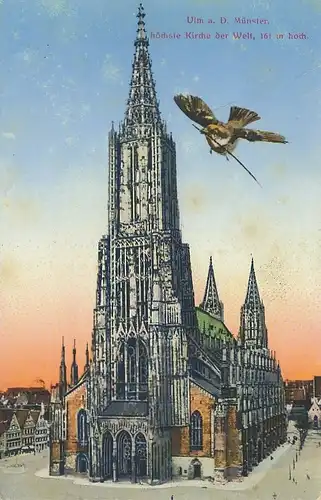 Ulm an der Donau Münster feldpgl1916 101.574