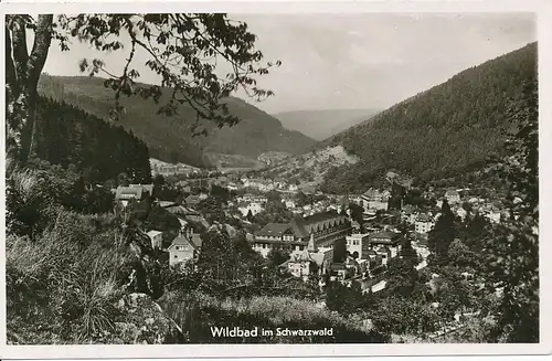 Bad Wildbad Panorama gl1951 133.513