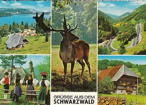 Grüsse aus dem Schwarzwald gl1966 B8316