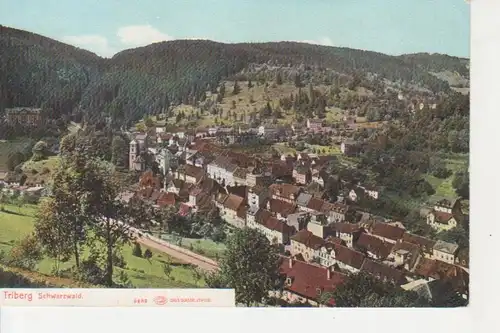 Triberg Gesamtpanorama ngl 76.999