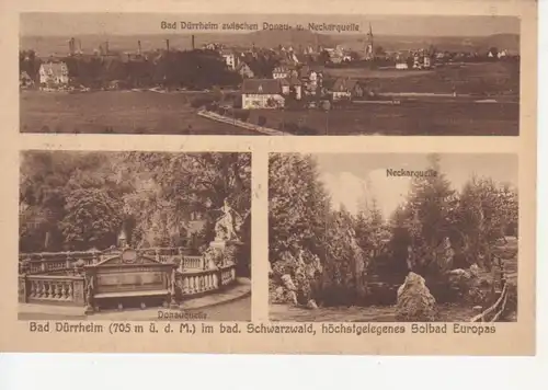 Bad Dürrheim Donau-Neckarquelle Panorama ngl 81.184