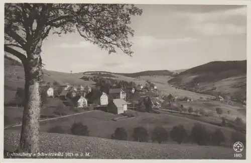 Todtnauberg Gesamtpanorama gl1936 81.808