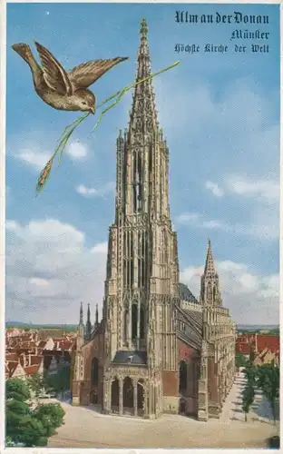 Ulm an der Donau Münster ngl 101.573