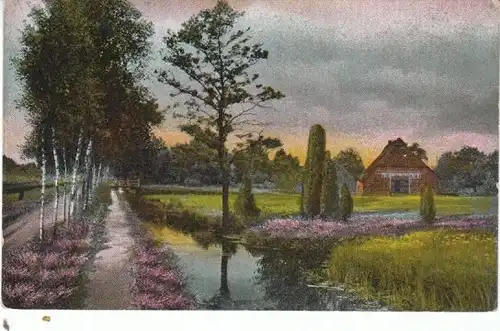 Heide Birkenallee Bach Haus feldpgl1918 25.072