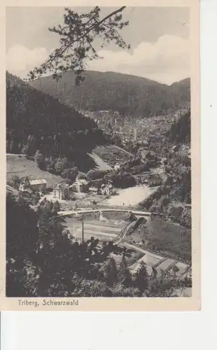 Triberg Gesamtansicht ngl 77.003